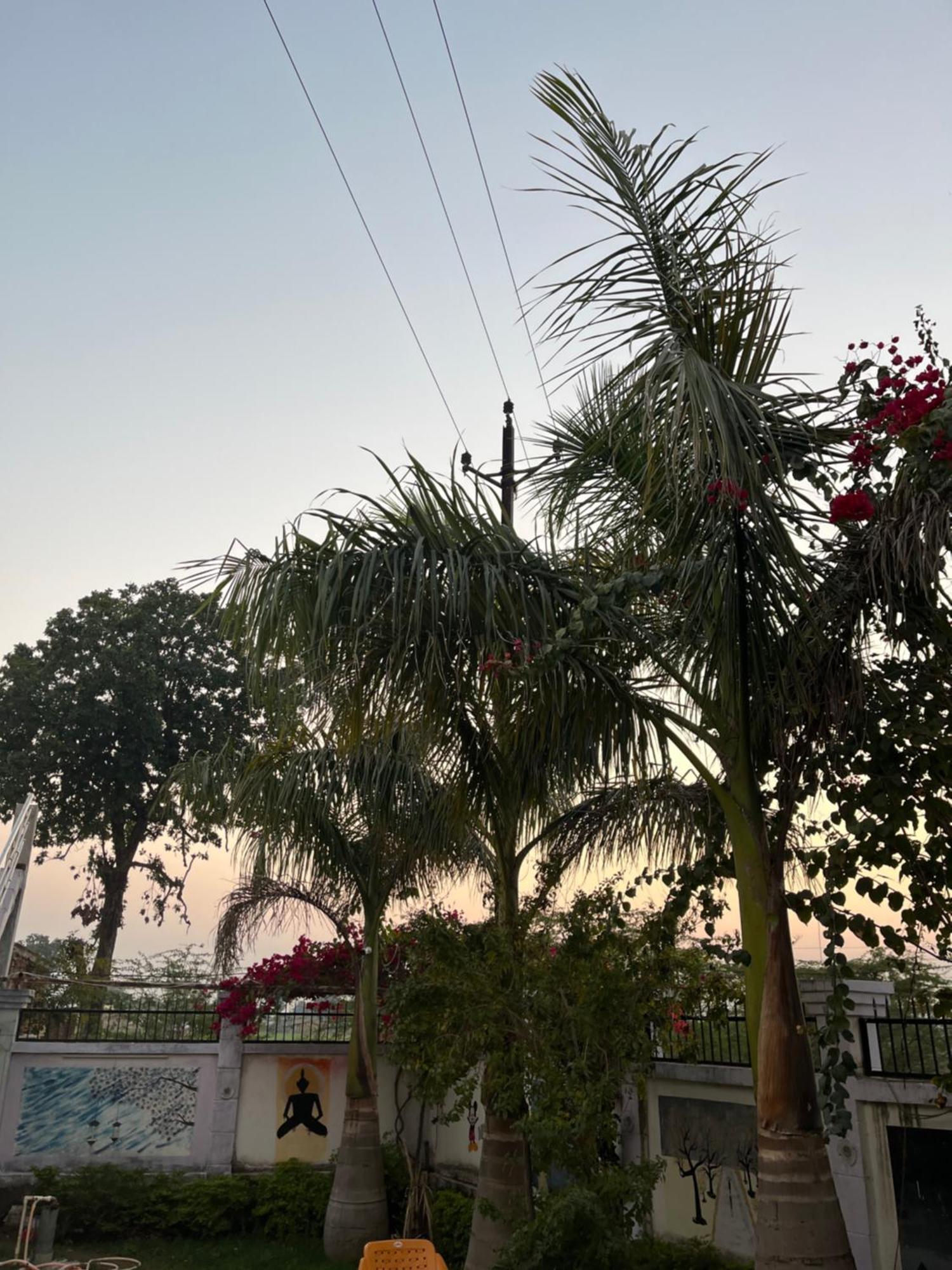 Sunrise Bed & Breakfast Khajuraho Luaran gambar