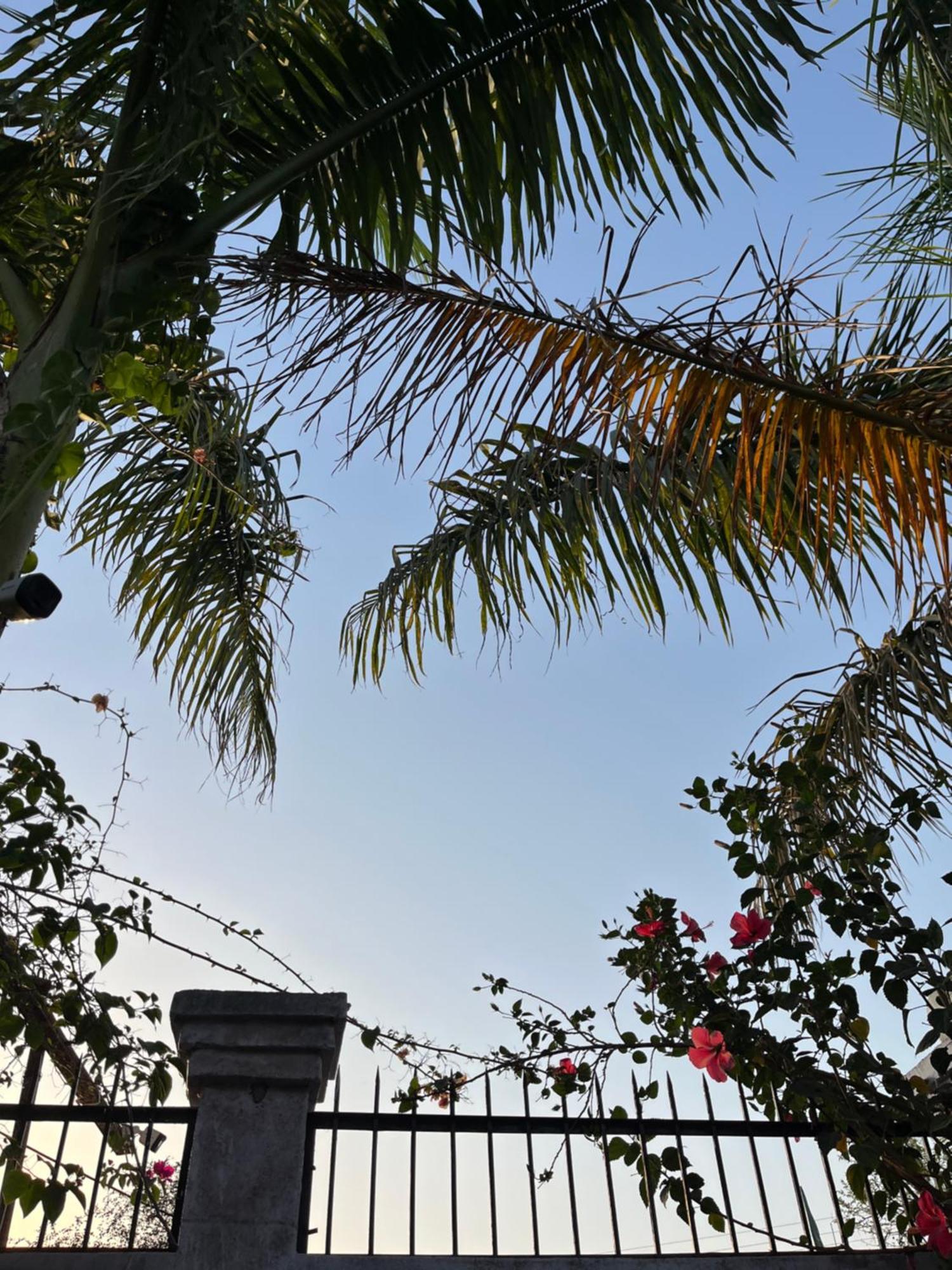 Sunrise Bed & Breakfast Khajuraho Luaran gambar